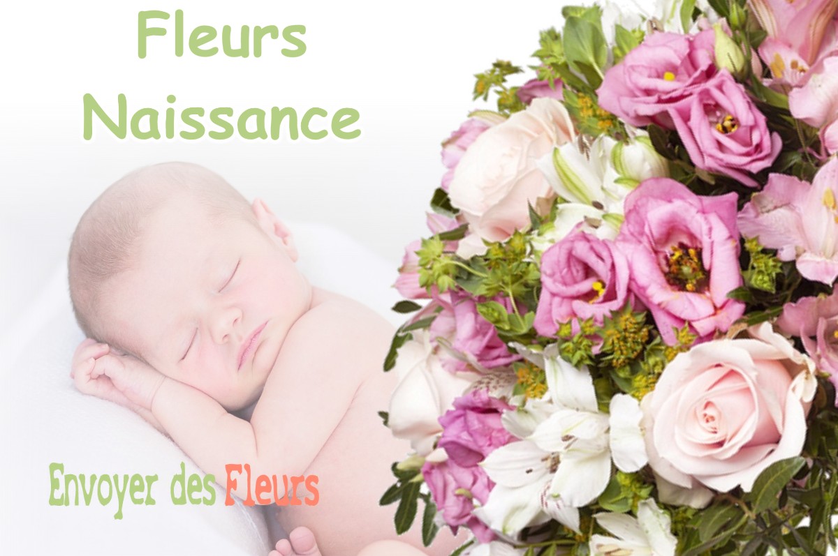 lIVRAISON FLEURS NAISSANCE à LA-VERPILLIERE